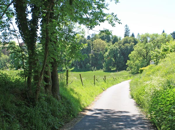 paysage champêtre à Russy-Bémont