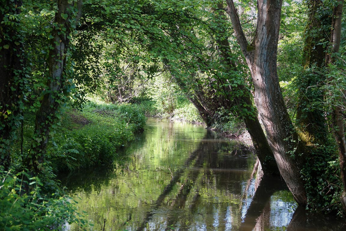 Rivière de Sery Magneval, commune Autonne Villages